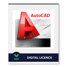 Software Licensing